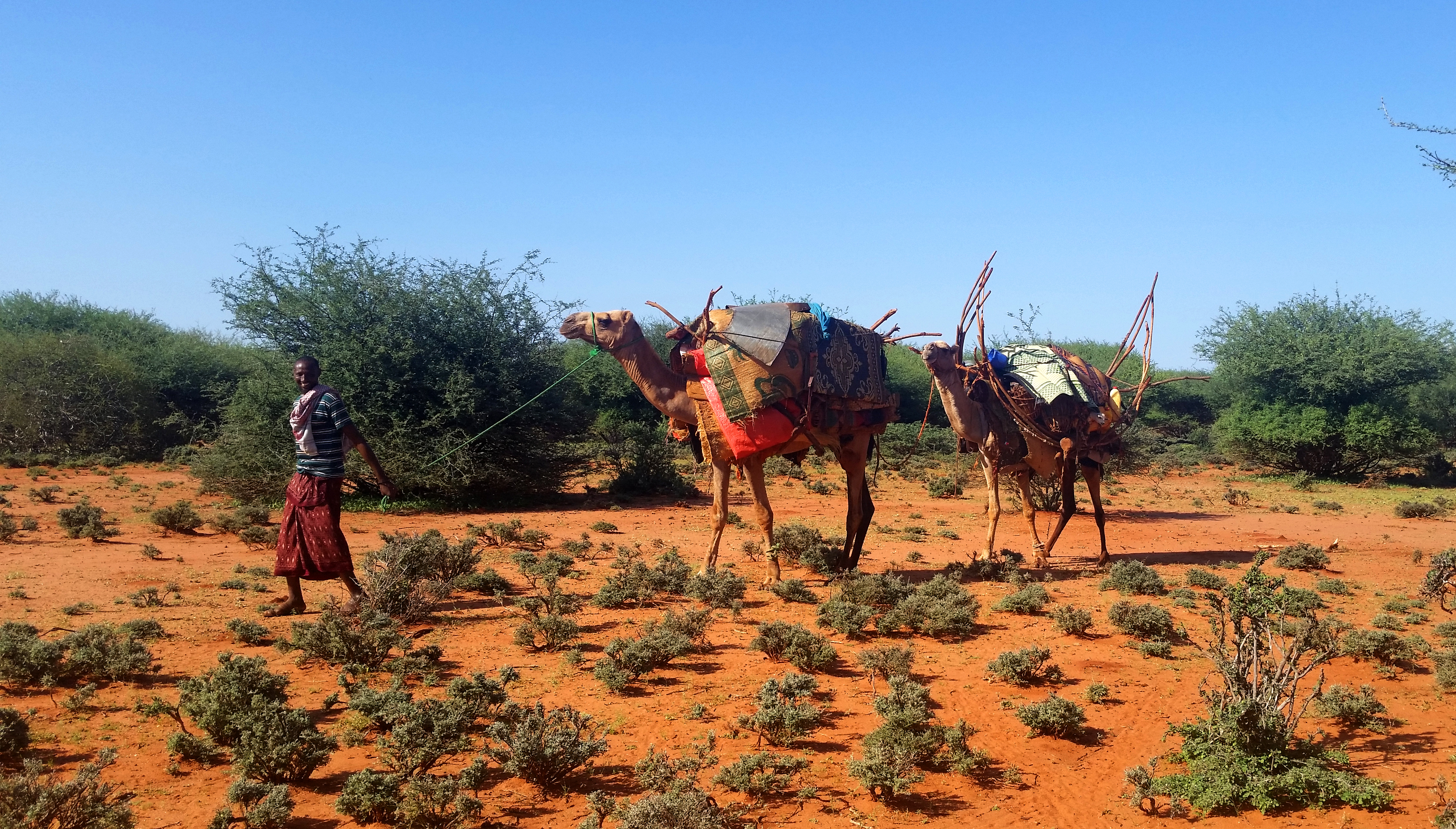 Restoring Yeheb in Ethiopia with SoRPARI