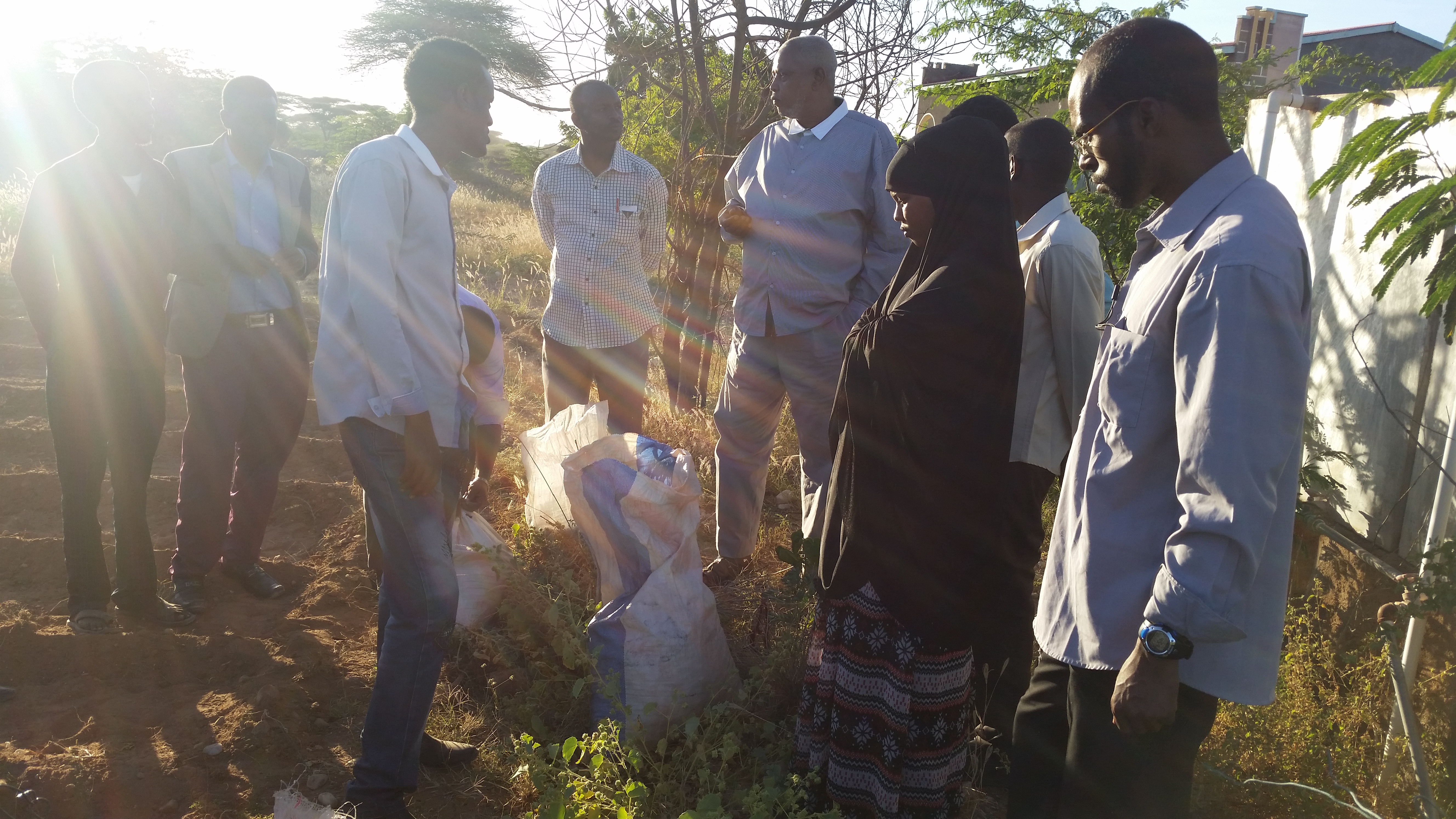 Planting Yeheb